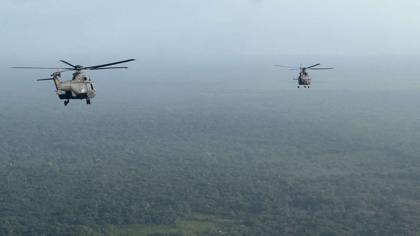 7d2613d8-59f9-de66-d848-4aeedf84ea2c