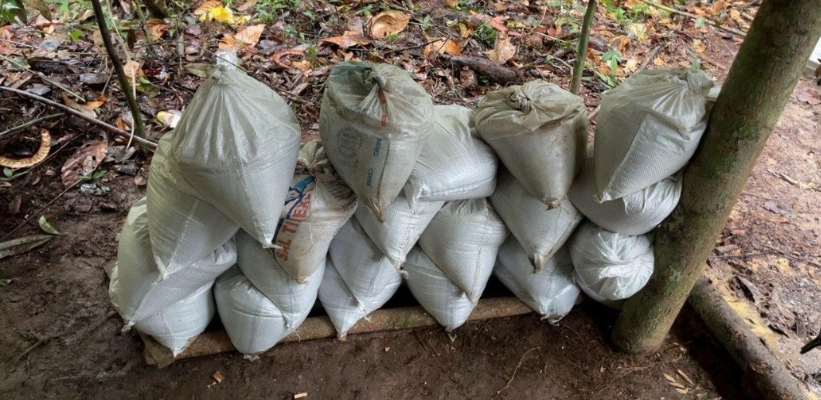 Cassiterita apreendida