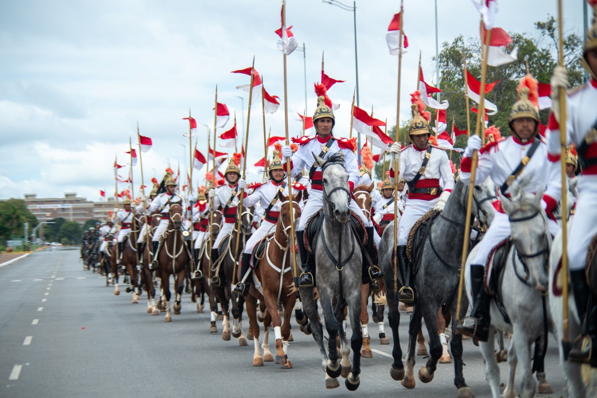 2af5168d-e2aa-4475-9b91-2fb5c5a1bf5f-jpg-1200-jpg